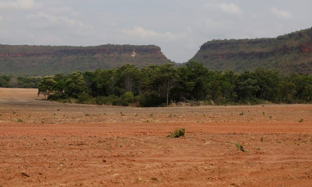 ções isoladas de vegetação nativa cresceram de 2,7 milhões, em 1986, para 7,1 mi
