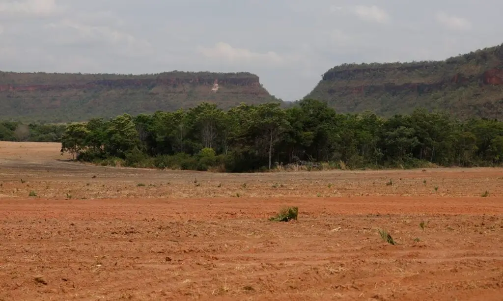 ções isoladas de vegetação nativa cresceram de 2,7 milhões, em 1986, para 7,1 mi