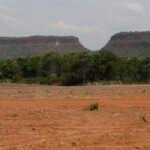 Vegetação nativa fragmentada no Brasil cresce 260% em quase quatro décadas