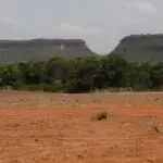 Vegetação nativa fragmentada no Brasil cresce 260% em quase quatro décadas