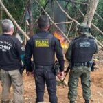Operação integrada combate garimpo ilegal na divisa entre Amapá e Pará
