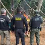 Operação integrada combate garimpo ilegal na divisa entre Amapá e Pará