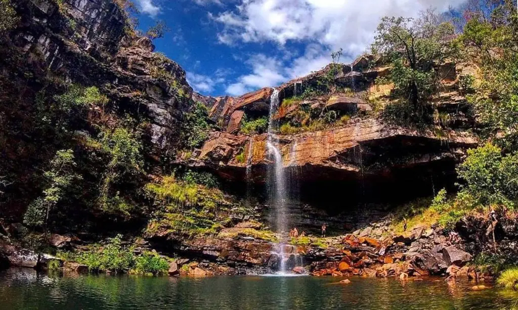uma onça-parda ao voltar de uma trilha de uma cachoeira no Santuário Volta da Se