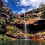 Ataque de onça-parda fere criança em trilha na Chapada dos Veadeiros