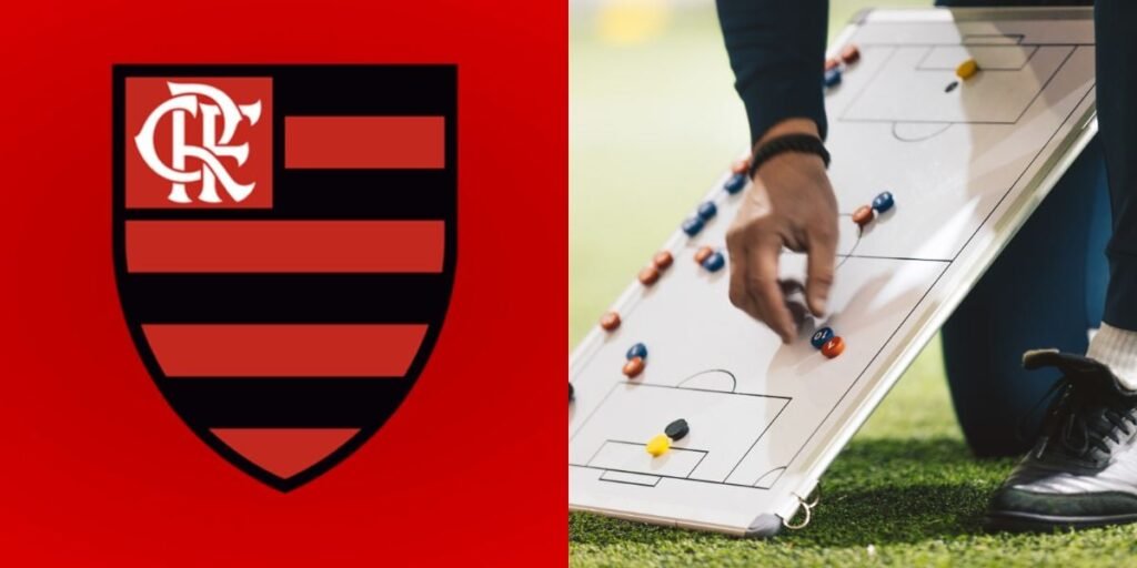 Divulgação)