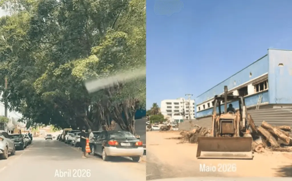 Cuiabá enfrenta redução drástica de áreas verdes com apenas 26% de cobertura vegetal