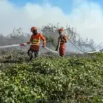 Bombeiros de Mato Grosso selecionam 150 brigadistas para combate a incêndios