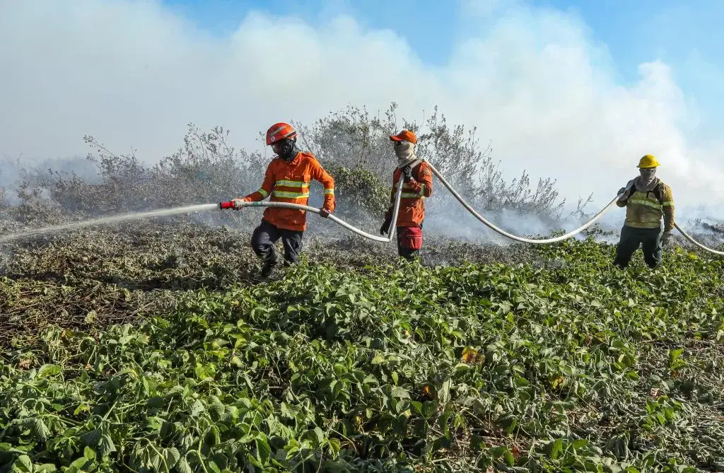 Bombeiros de Mato Grosso selecionam 150 brigadistas para combate a incêndios
