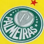 Palmeiras oficializa a chegada de Alexander Barboza para reforçar o setor defensivo