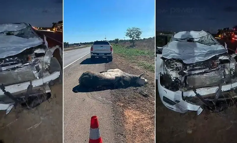 Colisão com touro na Br-163 deixa veículo destruído e motorista hospitalizado