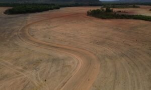 Fim da moratória da soja ameaça preservação da Amazônia com risco de desmatamento recorde