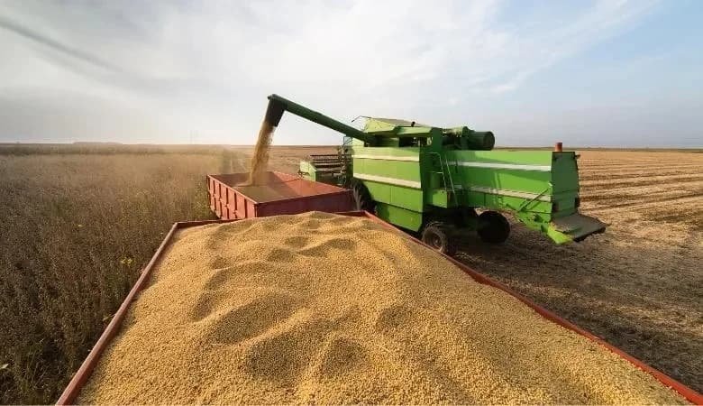 Justiça de Santa Catarina desbloqueia R$ 129 milhões de empresário de Mato Grosso