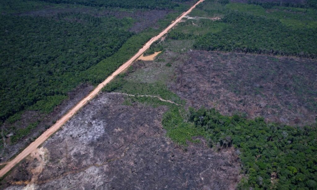 Queda no desmatamento da Amazônia desafia justificativa para tarifas dos Estados Unidos