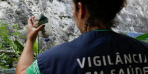 Dengue em São Paulo registra mais de 58 mil casos confirmados neste ano